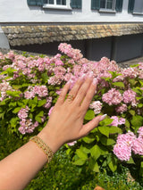 LÍV XL BRACELET GOLD